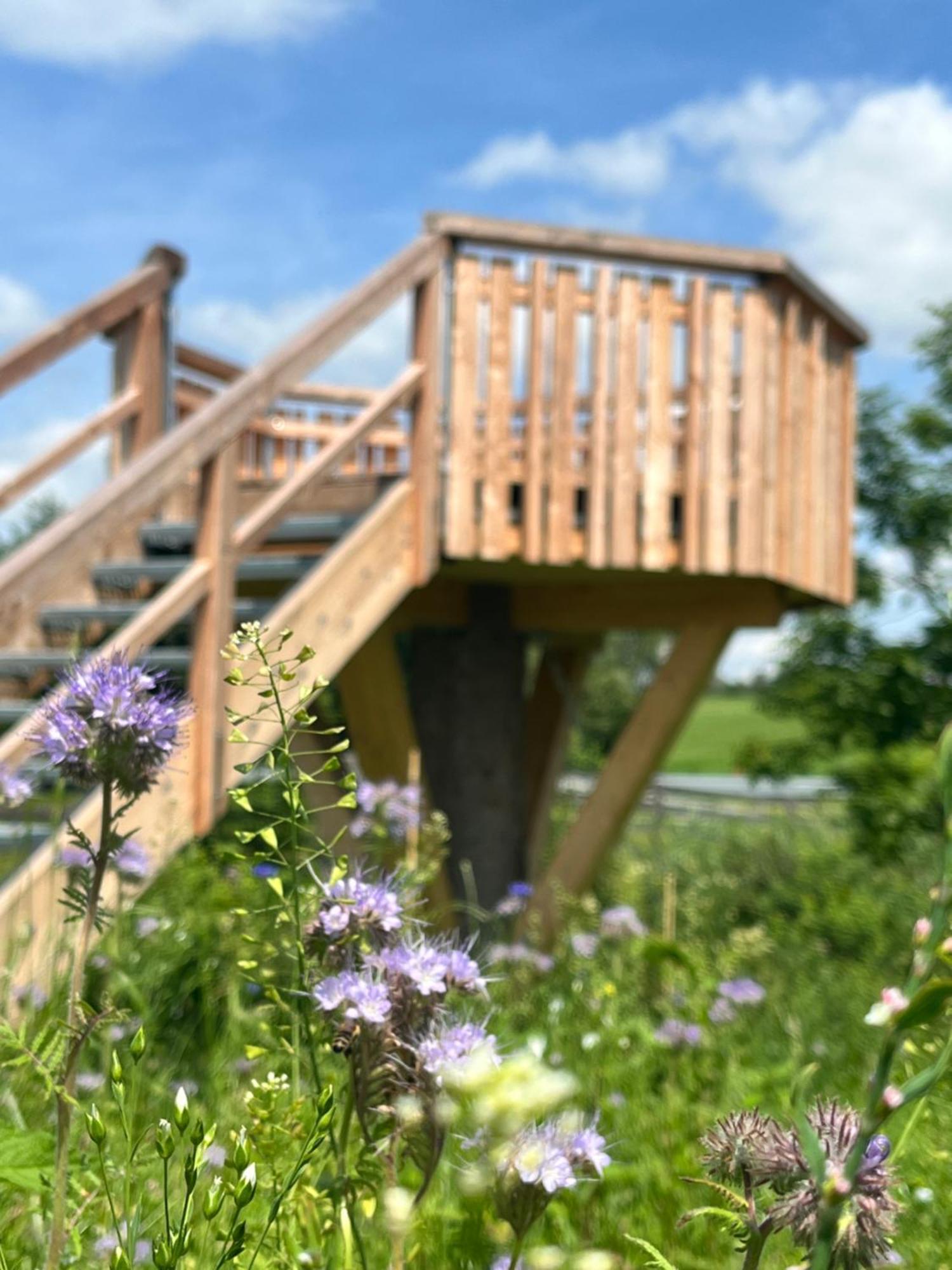 فندق Wald Ist Zukunft Bernbeuren المظهر الخارجي الصورة