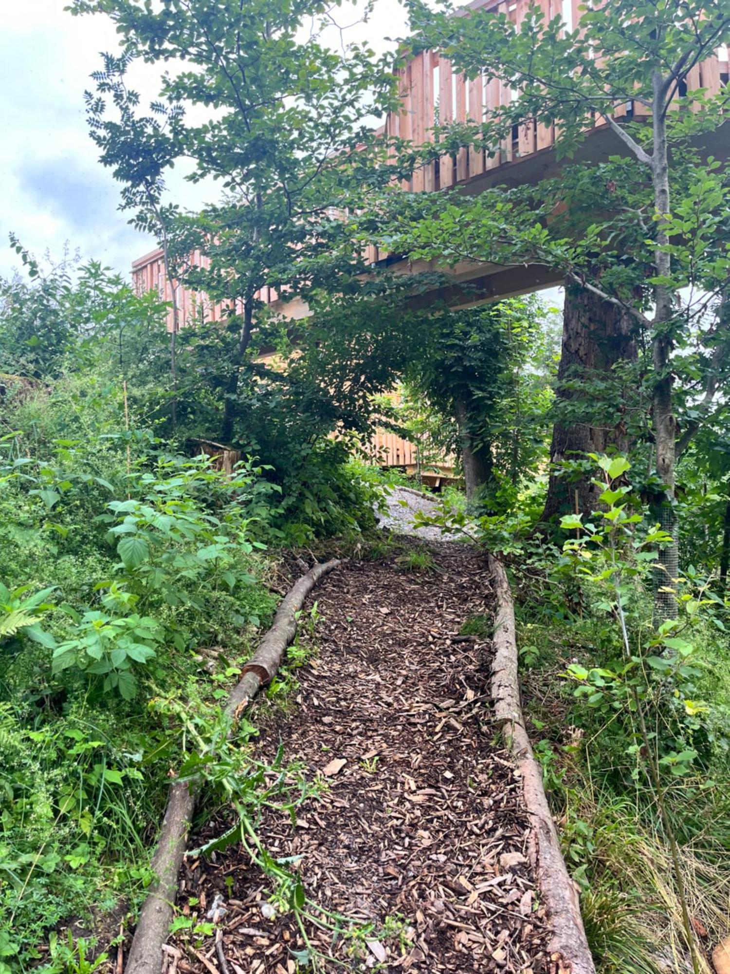 فندق Wald Ist Zukunft Bernbeuren المظهر الخارجي الصورة