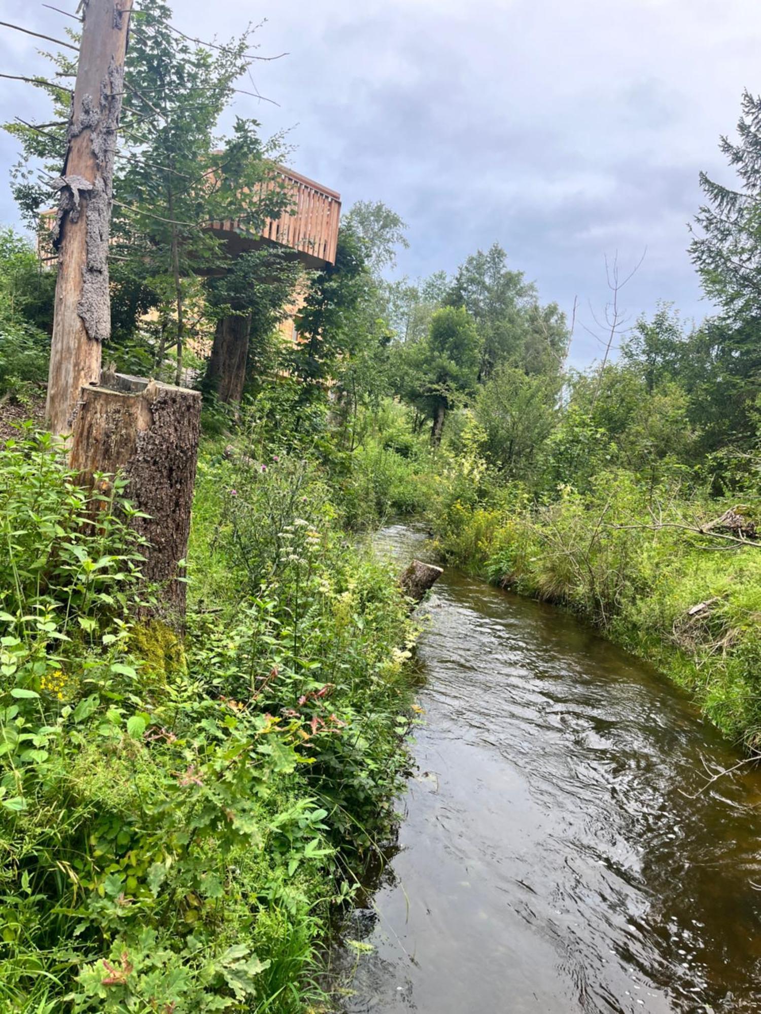 فندق Wald Ist Zukunft Bernbeuren المظهر الخارجي الصورة