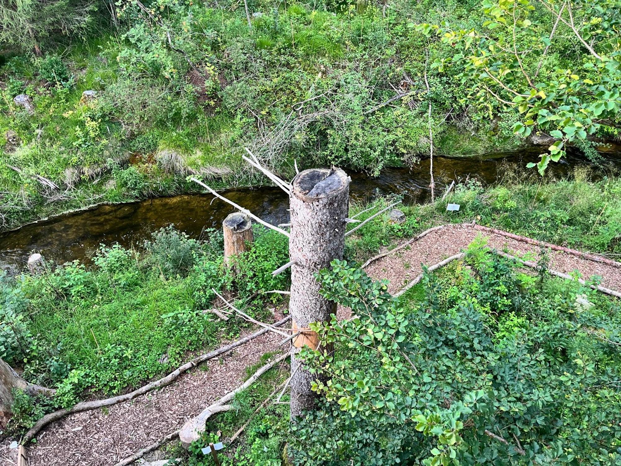 فندق Wald Ist Zukunft Bernbeuren المظهر الخارجي الصورة