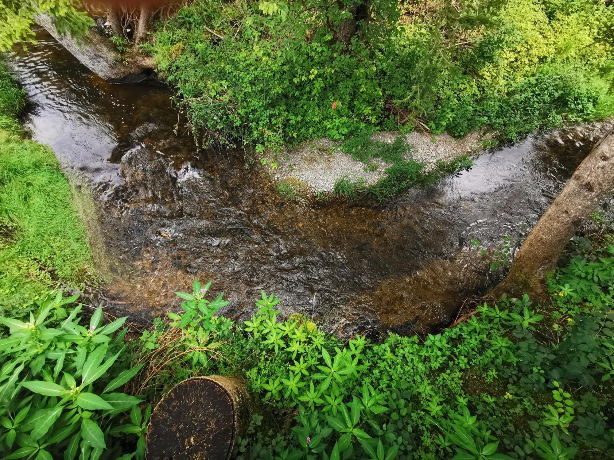 فندق Wald Ist Zukunft Bernbeuren المظهر الخارجي الصورة