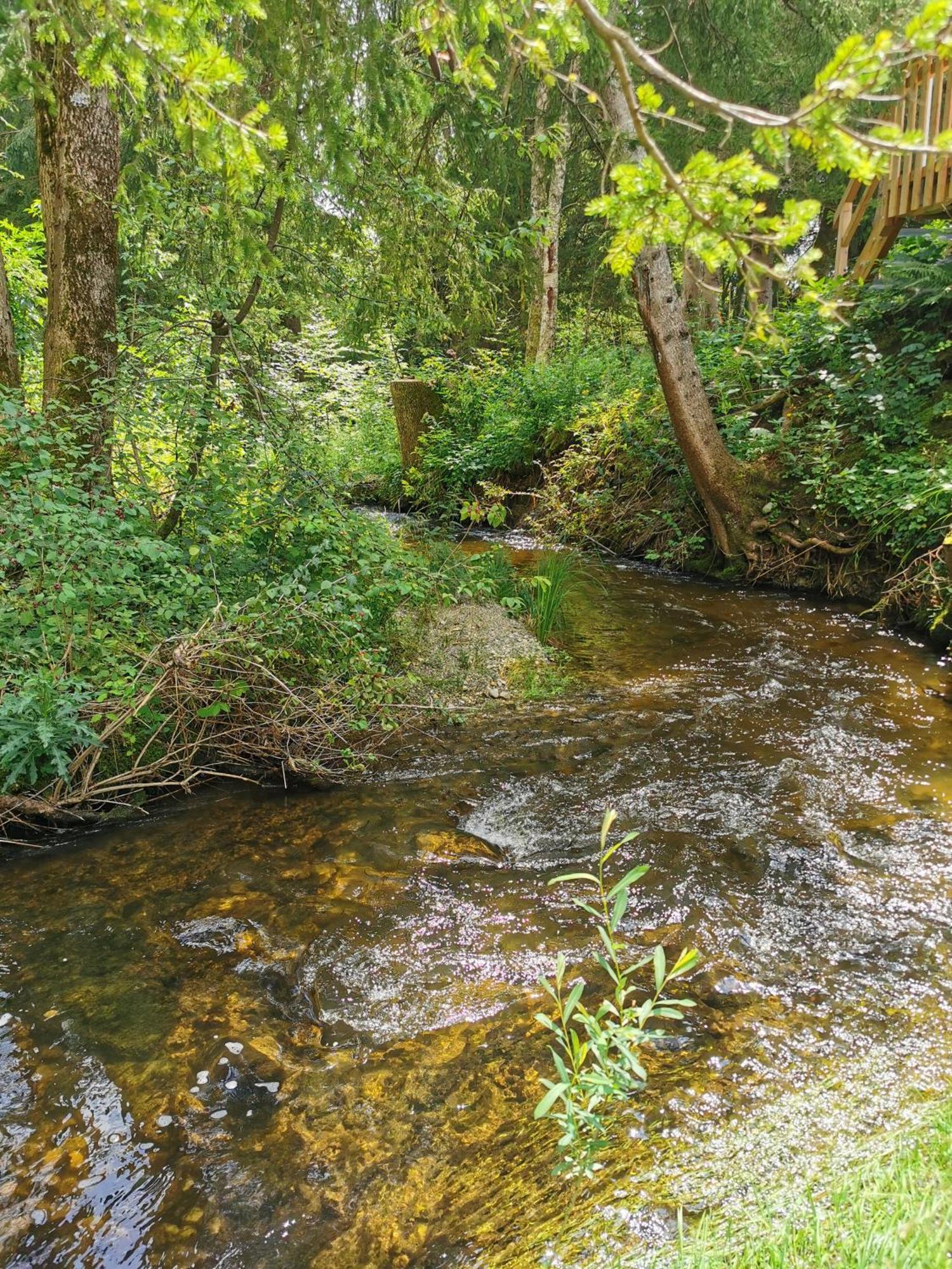 فندق Wald Ist Zukunft Bernbeuren المظهر الخارجي الصورة