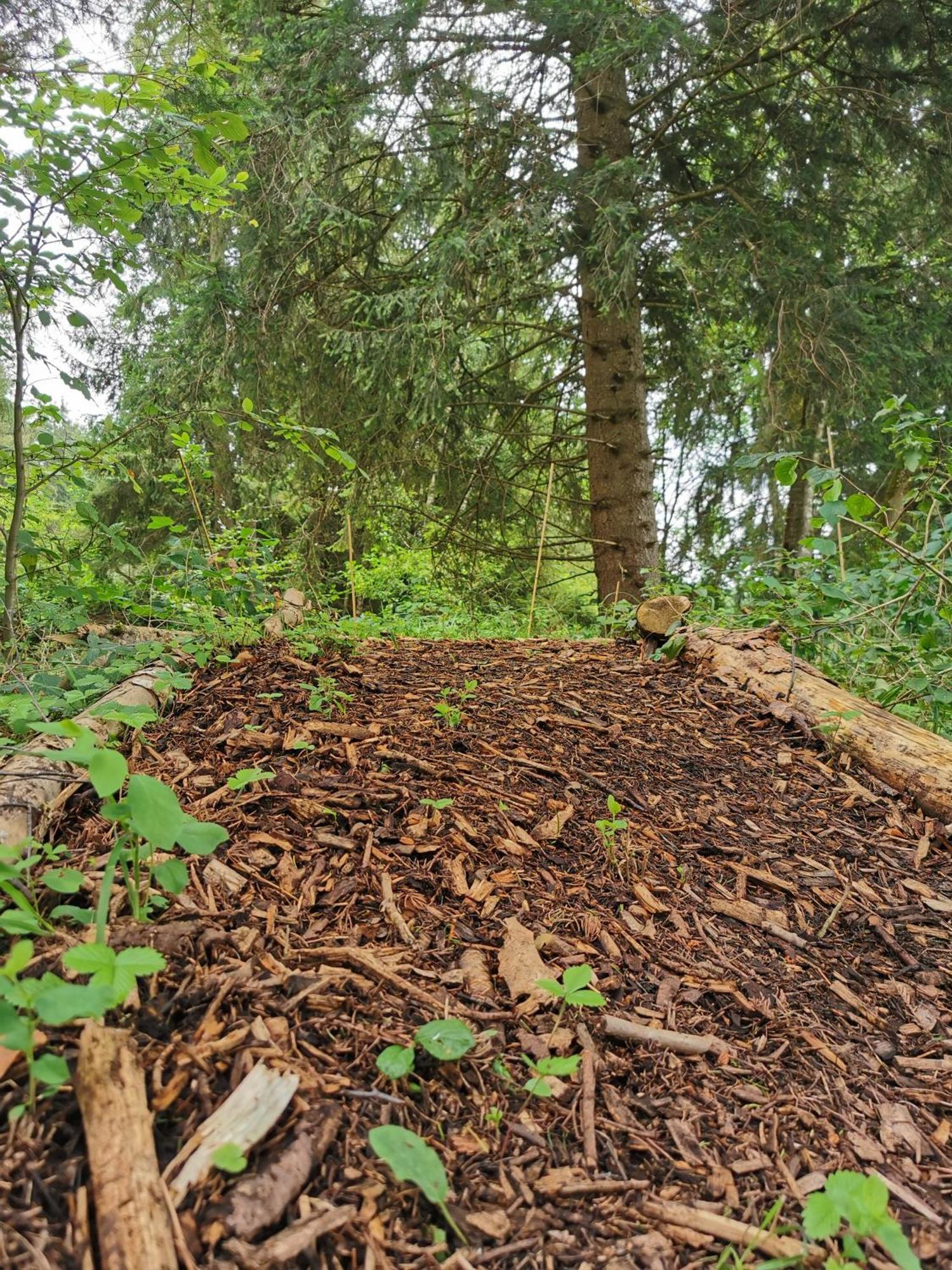 فندق Wald Ist Zukunft Bernbeuren المظهر الخارجي الصورة