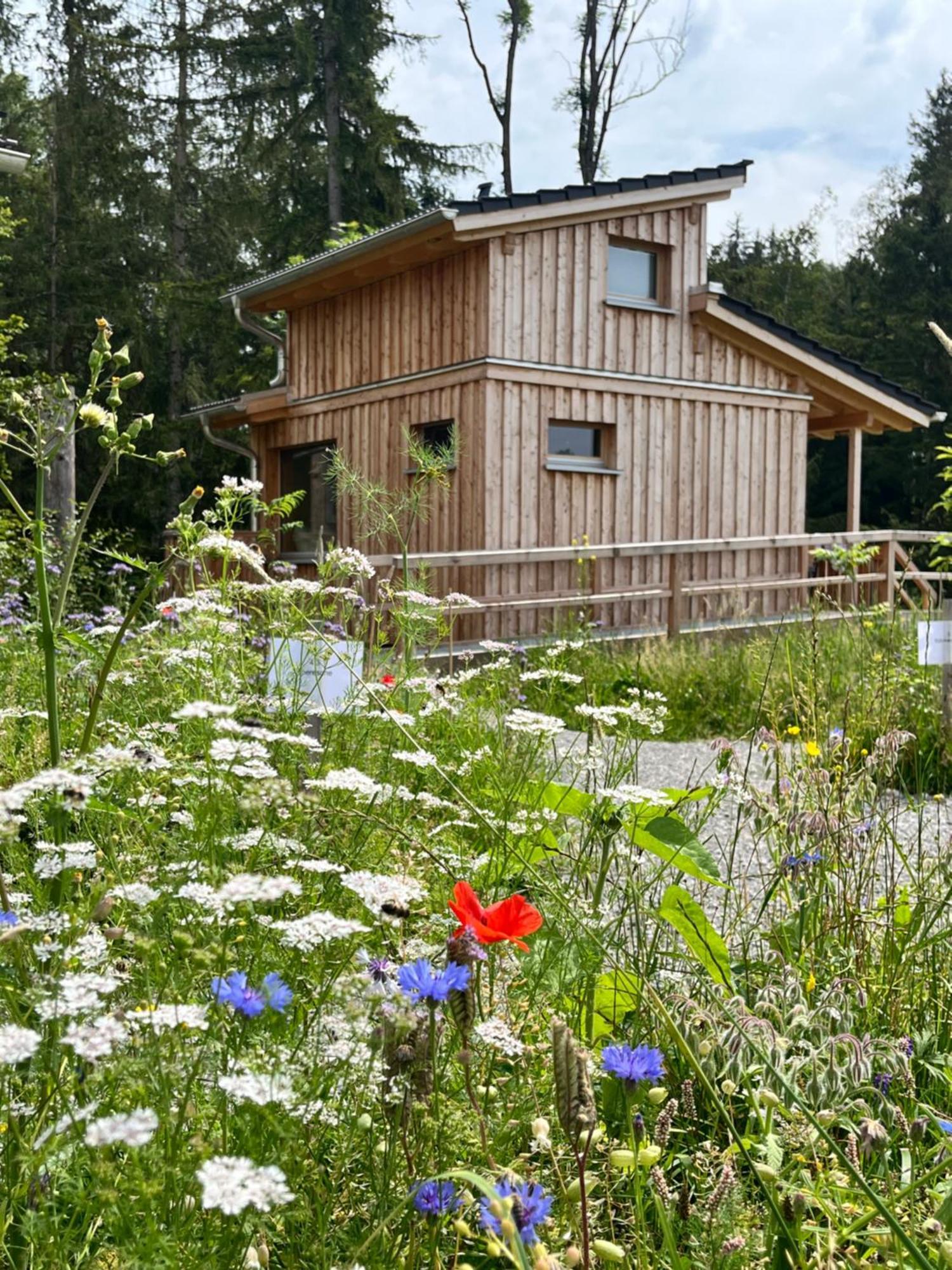 فندق Wald Ist Zukunft Bernbeuren المظهر الخارجي الصورة