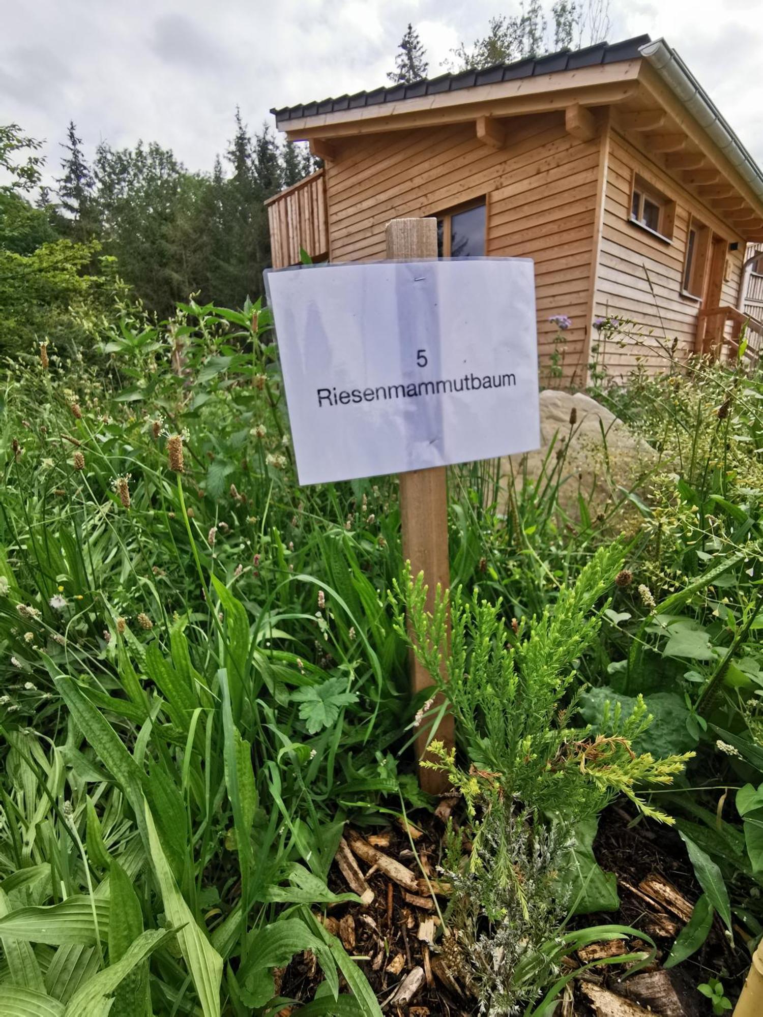 فندق Wald Ist Zukunft Bernbeuren المظهر الخارجي الصورة