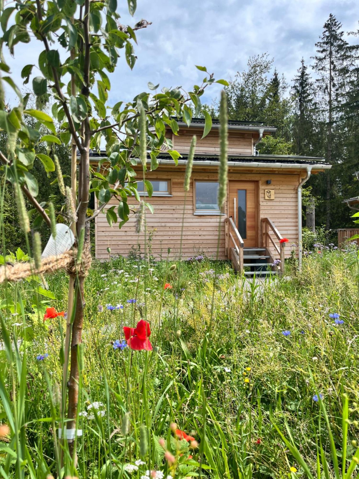 فندق Wald Ist Zukunft Bernbeuren المظهر الخارجي الصورة
