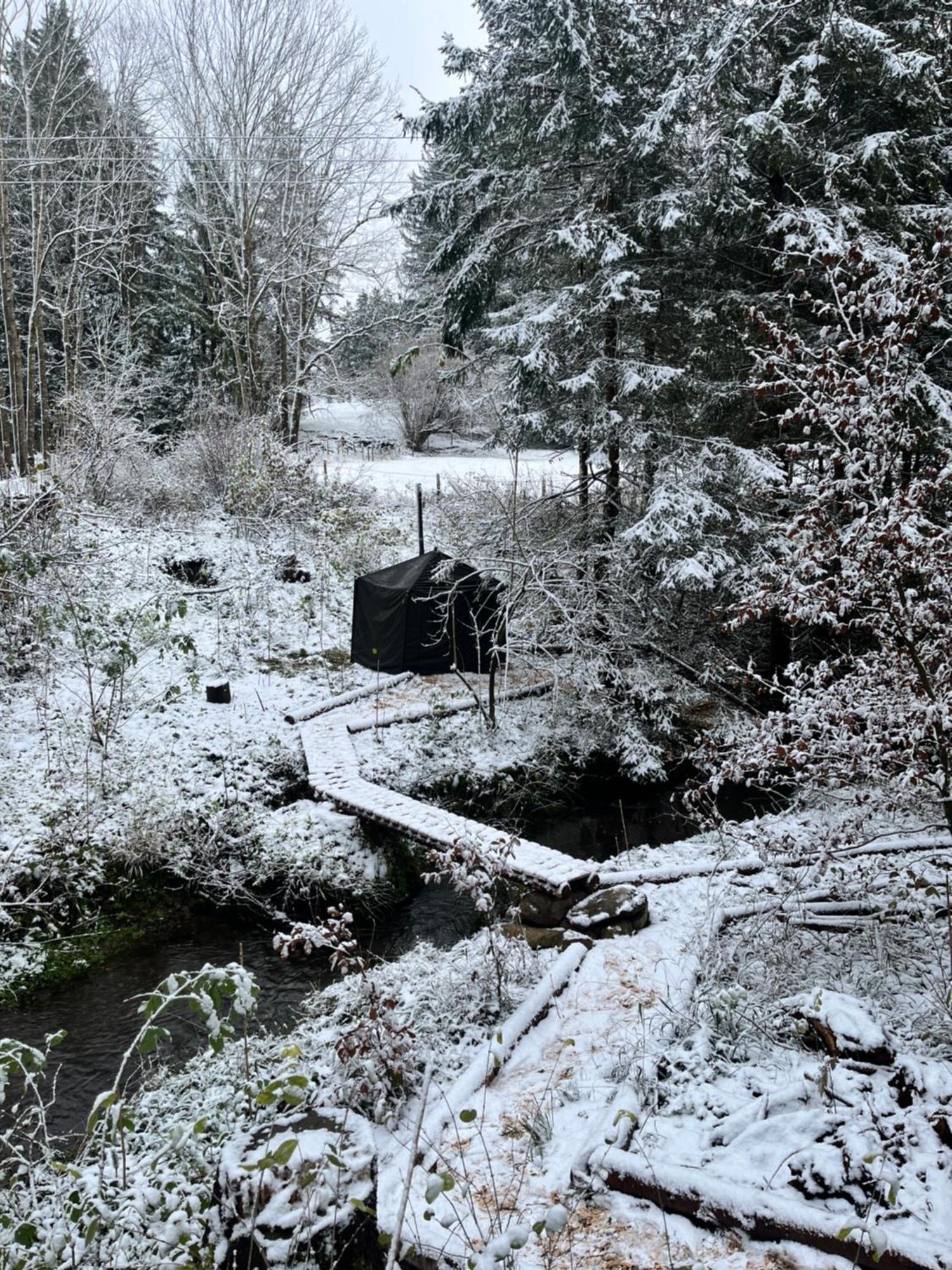 فندق Wald Ist Zukunft Bernbeuren المظهر الخارجي الصورة