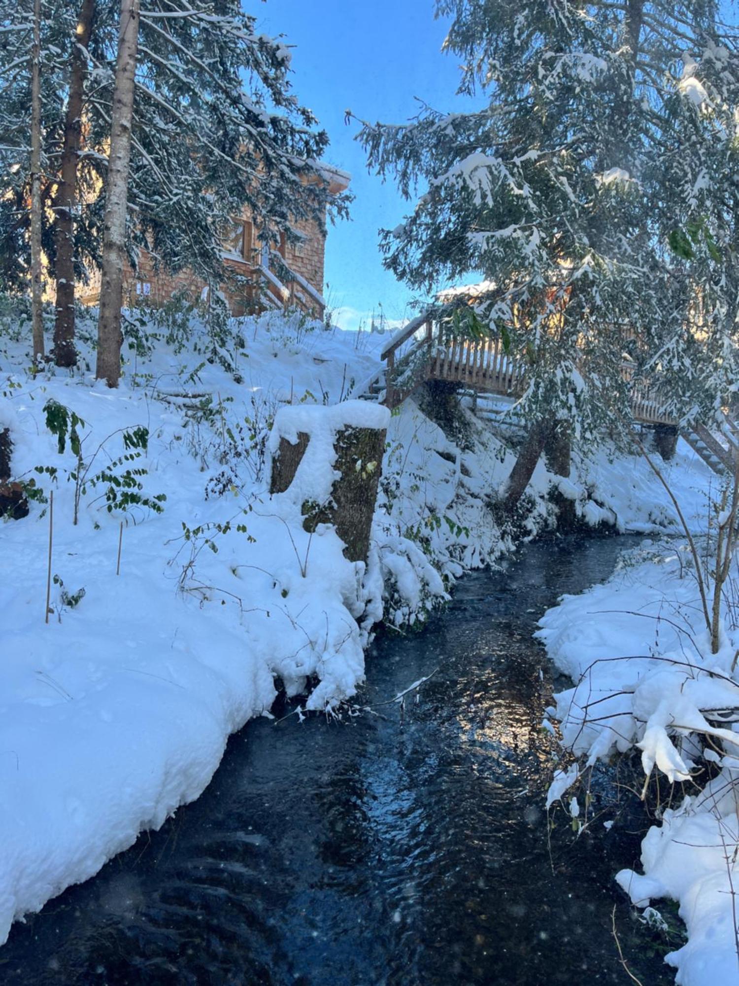 فندق Wald Ist Zukunft Bernbeuren المظهر الخارجي الصورة