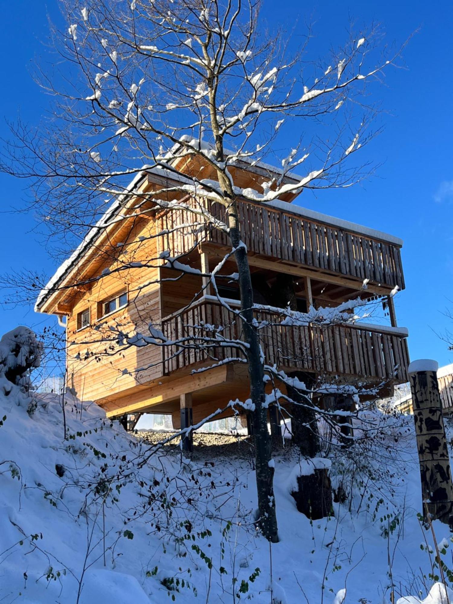 فندق Wald Ist Zukunft Bernbeuren المظهر الخارجي الصورة